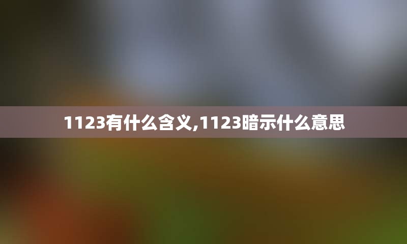 1123有什么含义,1123暗示什么意思