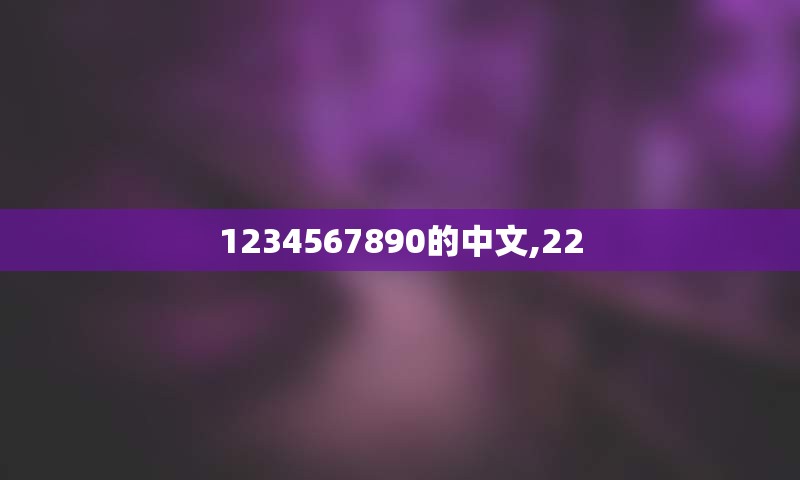 1234567890的中文,22