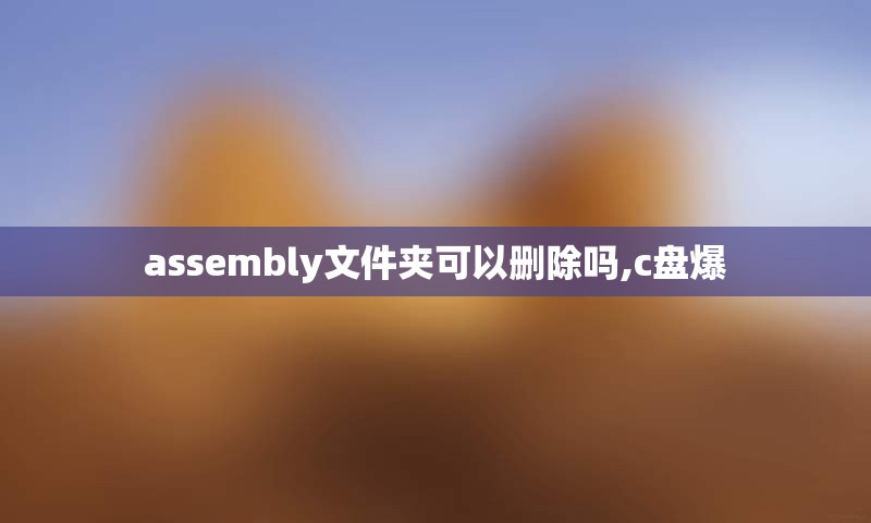 assembly文件夹可以删除吗,c盘爆