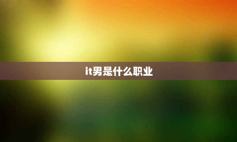 it男是什么职业