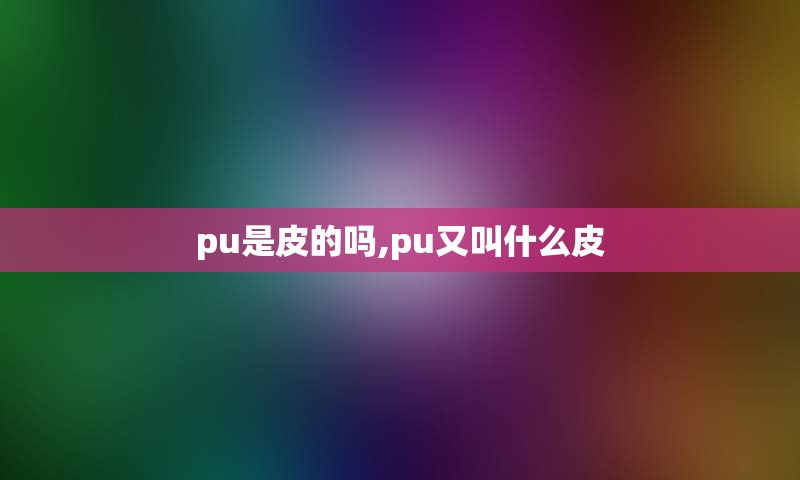 pu是皮的吗,pu又叫什么皮
