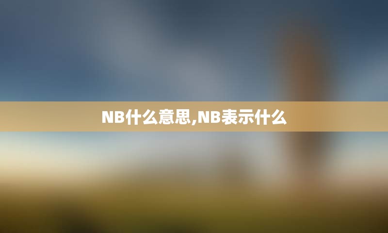NB什么意思,NB表示什么