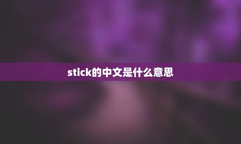 stick的中文是什么意思