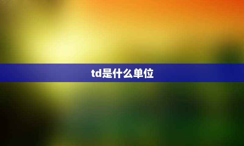 td是什么单位