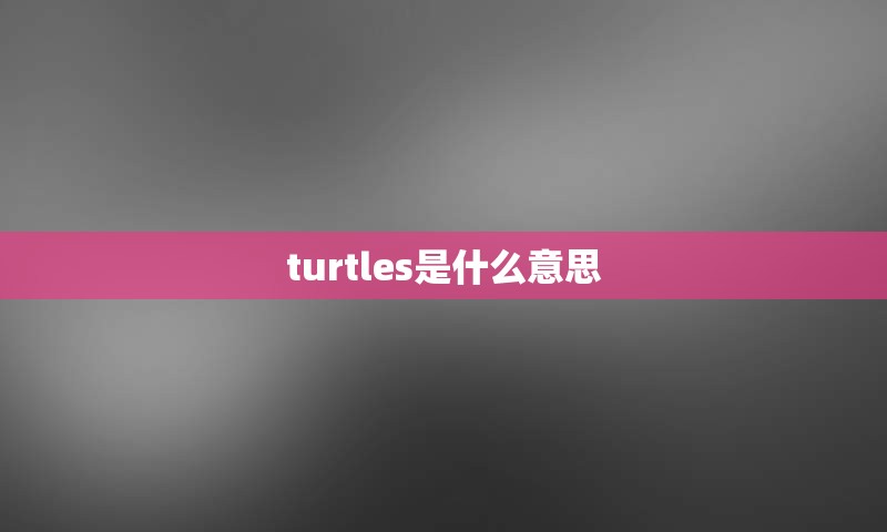 turtles是什么意思