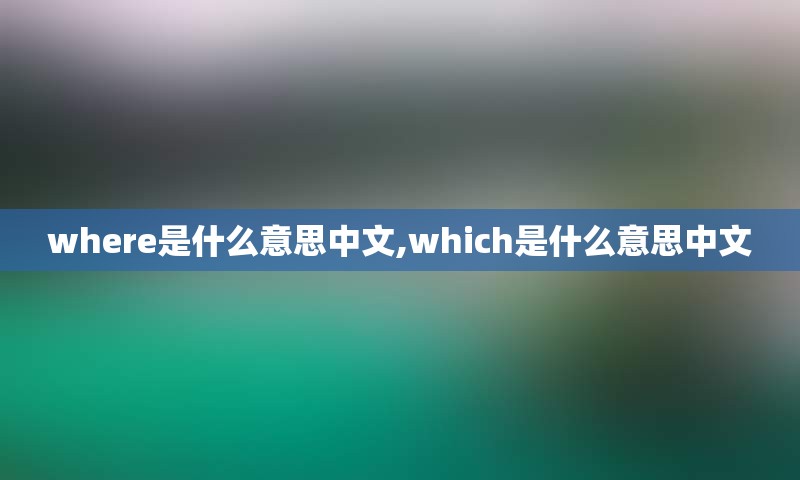 where是什么意思中文,which是什么意思中文