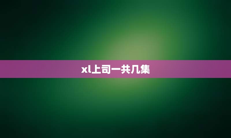 xl上司一共几集