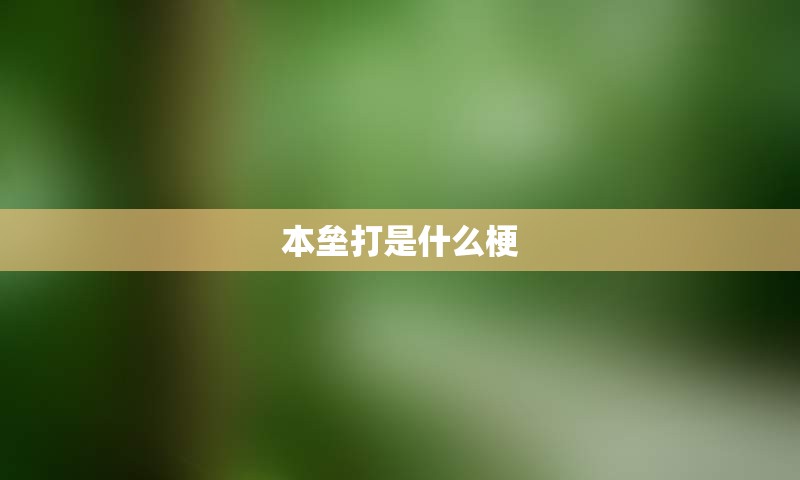 本垒打是什么梗