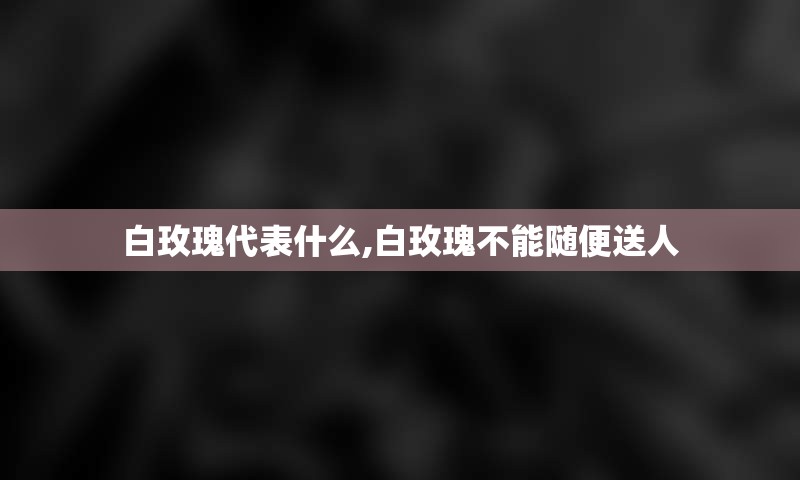 白玫瑰代表什么,白玫瑰不能随便送人