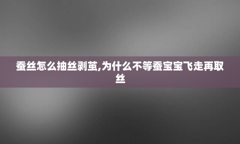 蚕丝怎么抽丝剥茧,为什么不等蚕宝宝飞走再取丝