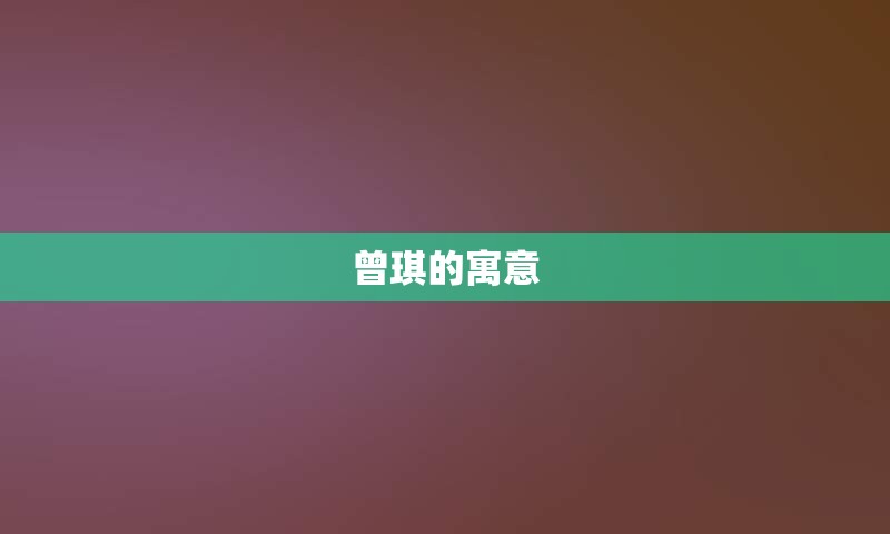 曾琪的寓意