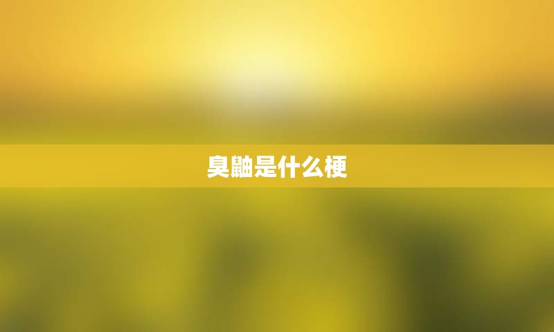 臭鼬是什么梗