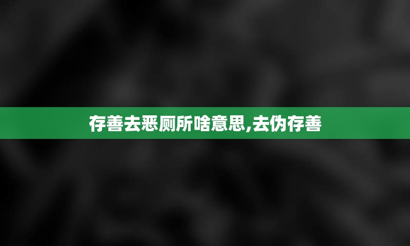 存善去恶厕所啥意思,去伪存善
