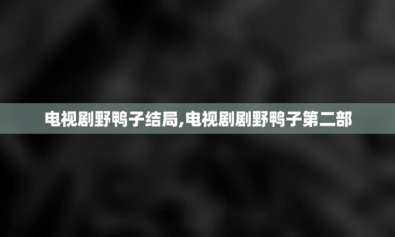 电视剧野鸭子结局,电视剧剧野鸭子第二部