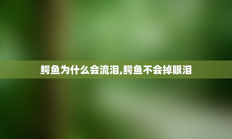 鳄鱼为什么会流泪,鳄鱼不会掉眼泪