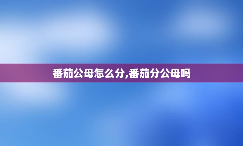番茄公母怎么分,番茄分公母吗