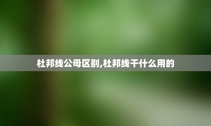 杜邦线公母区别,杜邦线干什么用的