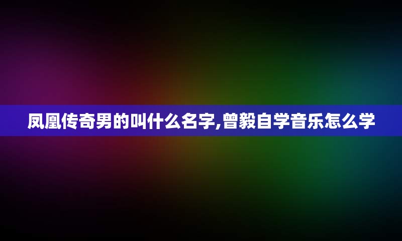 凤凰传奇男的叫什么名字,曾毅自学音乐怎么学