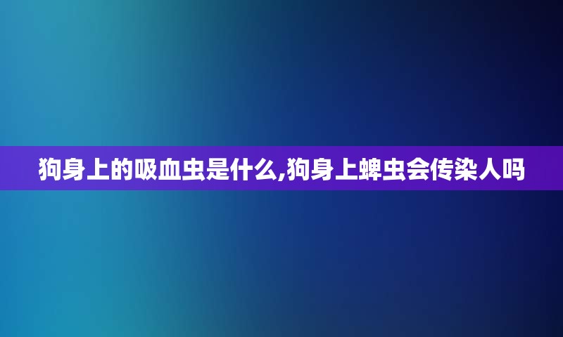 狗身上的吸血虫是什么,狗身上蜱虫会传染人吗