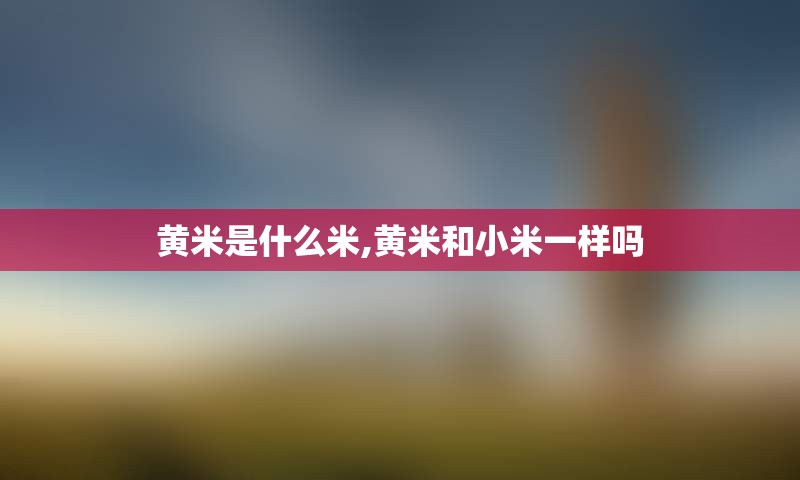 黄米是什么米,黄米和小米一样吗