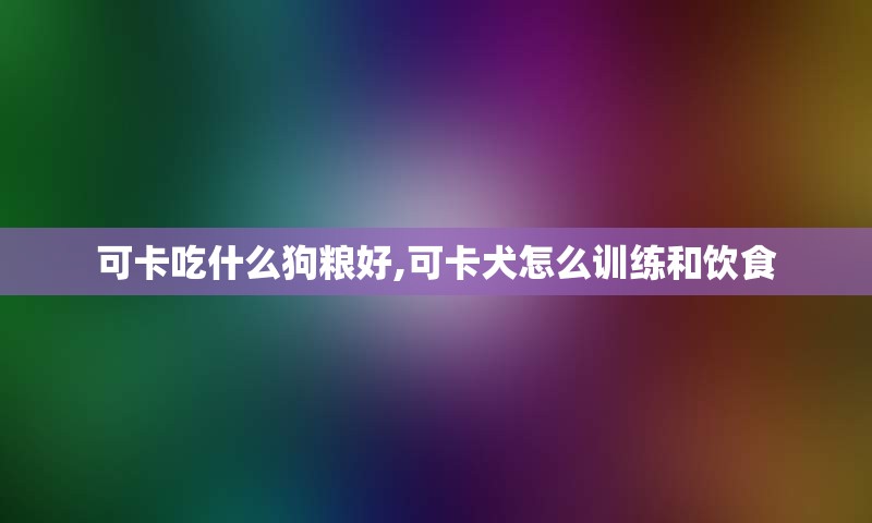 可卡吃什么狗粮好,可卡犬怎么训练和饮食