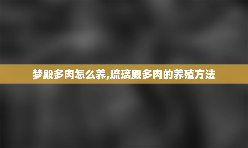梦殿多肉怎么养,琉璃殿多肉的养殖方法