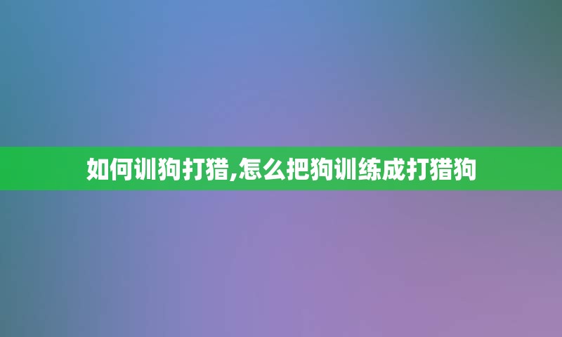 如何训狗打猎,怎么把狗训练成打猎狗