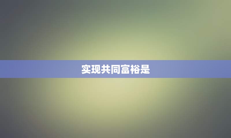 实现共同富裕是
