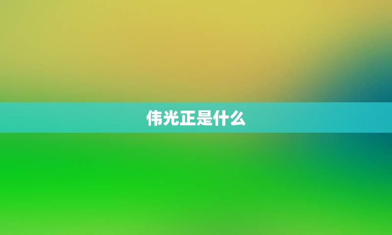 伟光正是什么