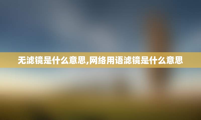 无滤镜是什么意思,网络用语滤镜是什么意思