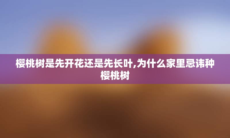樱桃树是先开花还是先长叶,为什么家里忌讳种樱桃树