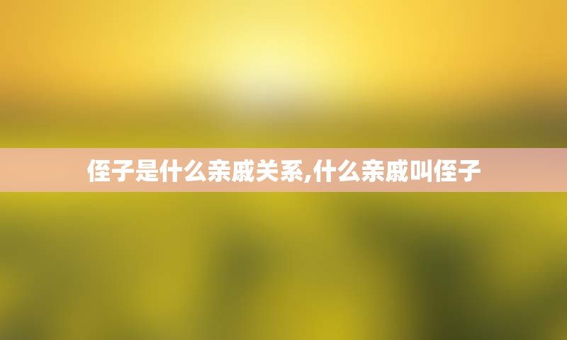 侄子是什么亲戚关系,什么亲戚叫侄子