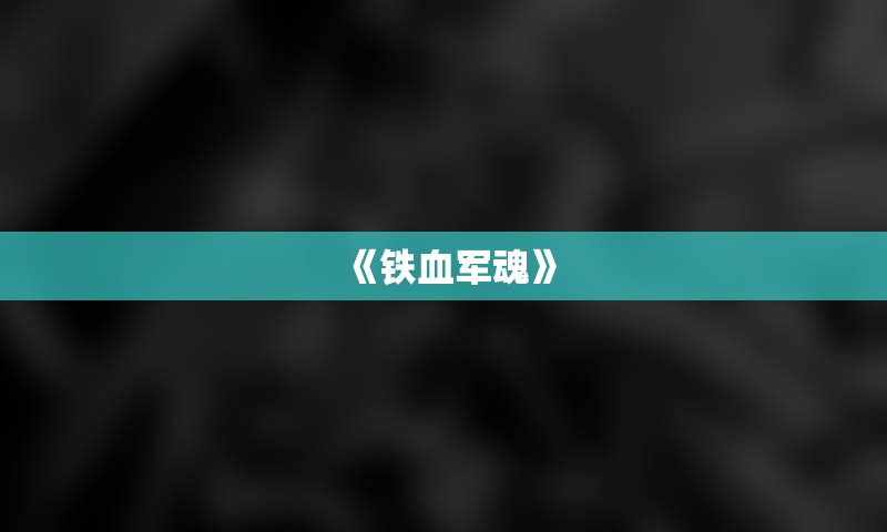 《铁血军魂》