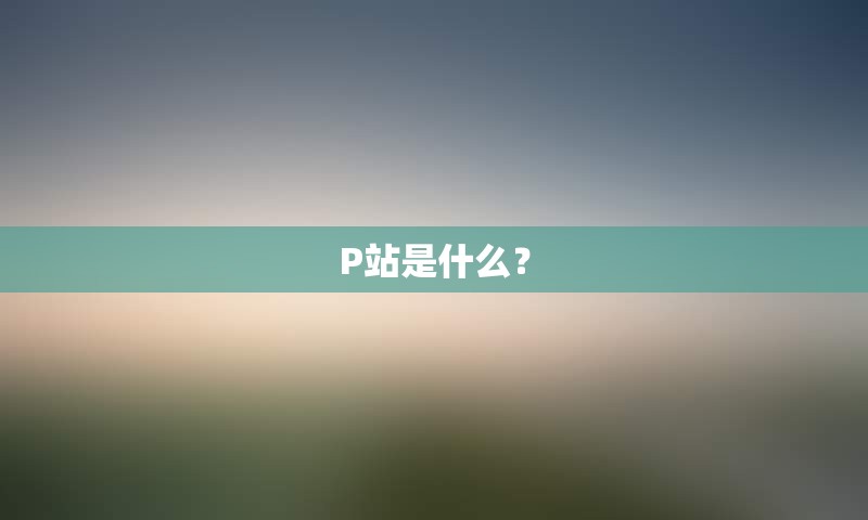 P站是什么？