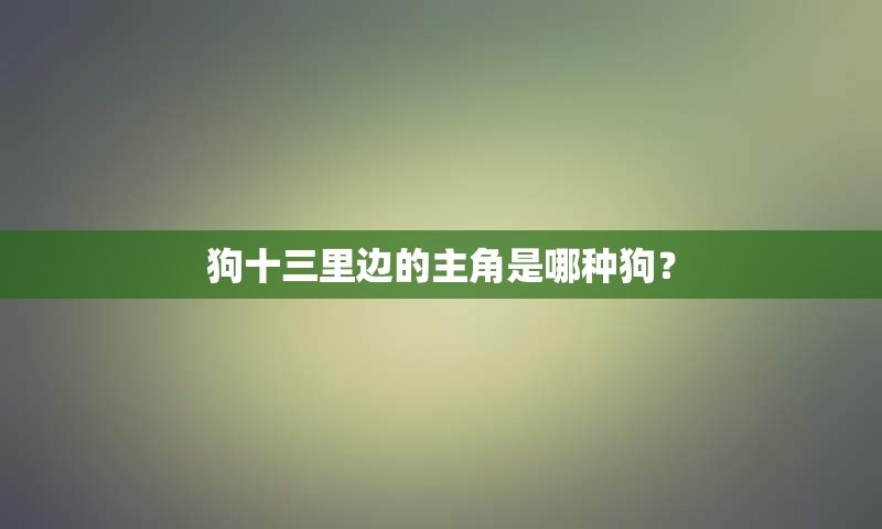 狗十三里边的主角是哪种狗？