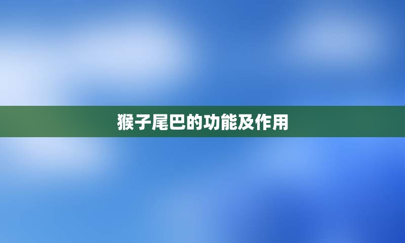 猴子尾巴的功能及作用