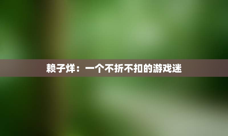 赖子烊：一个不折不扣的游戏迷