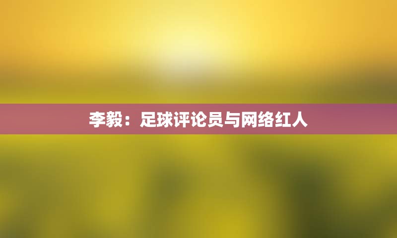 李毅：足球评论员与网络红人
