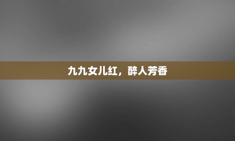 九九女儿红，醉人芳香