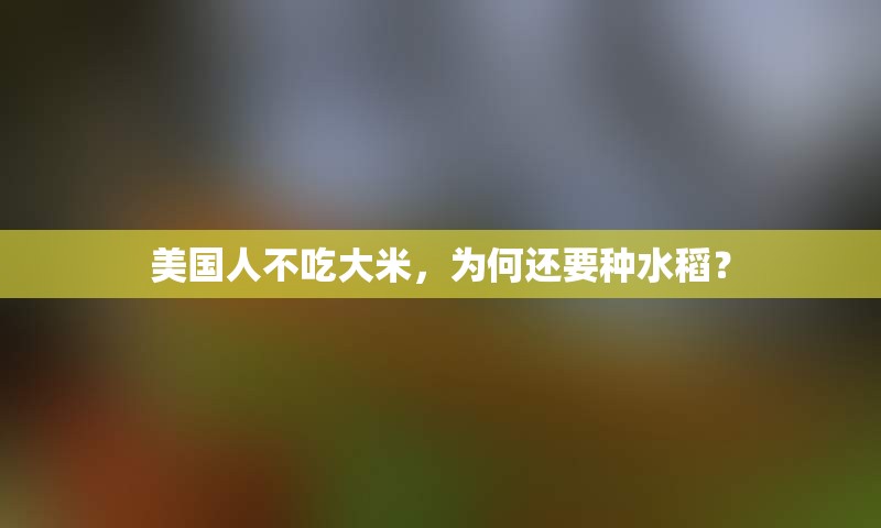 美国人不吃大米，为何还要种水稻？