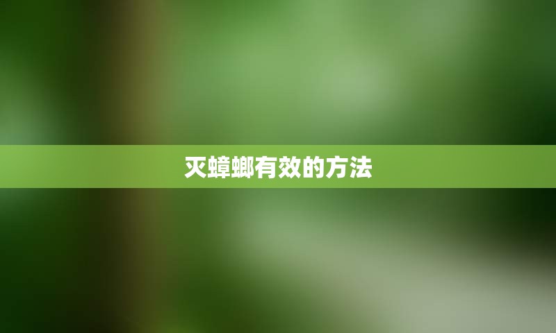 灭蟑螂有效的方法