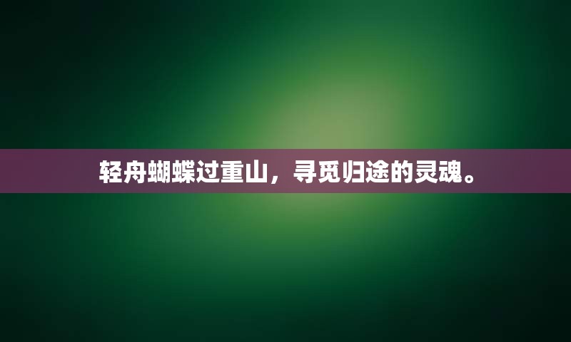 轻舟蝴蝶过重山，寻觅归途的灵魂。