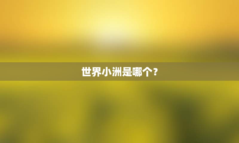 世界小洲是哪个？