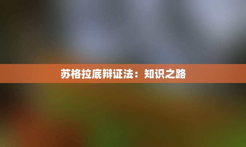 苏格拉底辩证法：知识之路