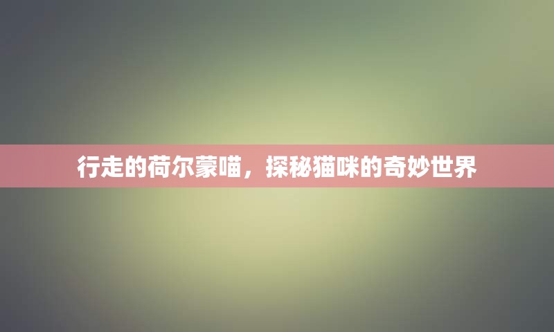 行走的荷尔蒙喵，探秘猫咪的奇妙世界