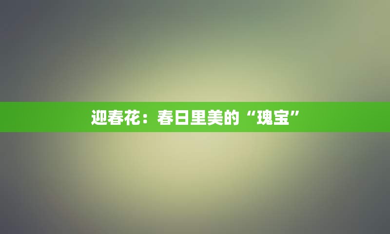 迎春花：春日里美的“瑰宝”