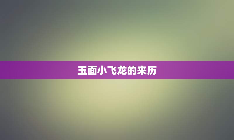 玉面小飞龙的来历