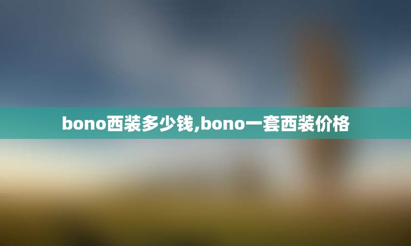 bono西装多少钱,bono一套西装价格